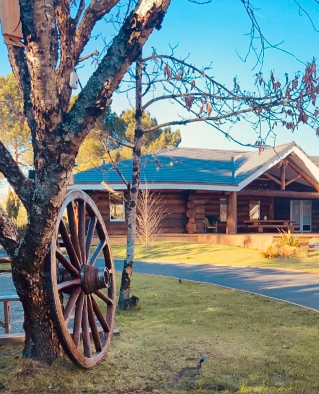 Chalet Montana - Au Cottage Du Medoc - Proche De Bordeaux Saint-Aubin-de-Médoc Dış mekan fotoğraf